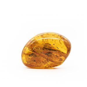 Natūralaus gintaro grynuolis skaidrus