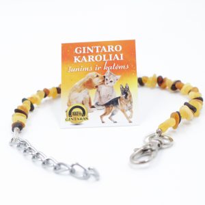 Antkaklis šunims, katėms