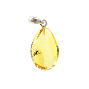 Pakabukas su inkliuzu