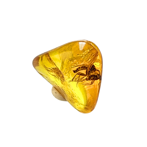 Skaidraus gintaro gabaliukas su inkliuzu