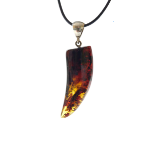 Tamsus pakabukas „Iltis”